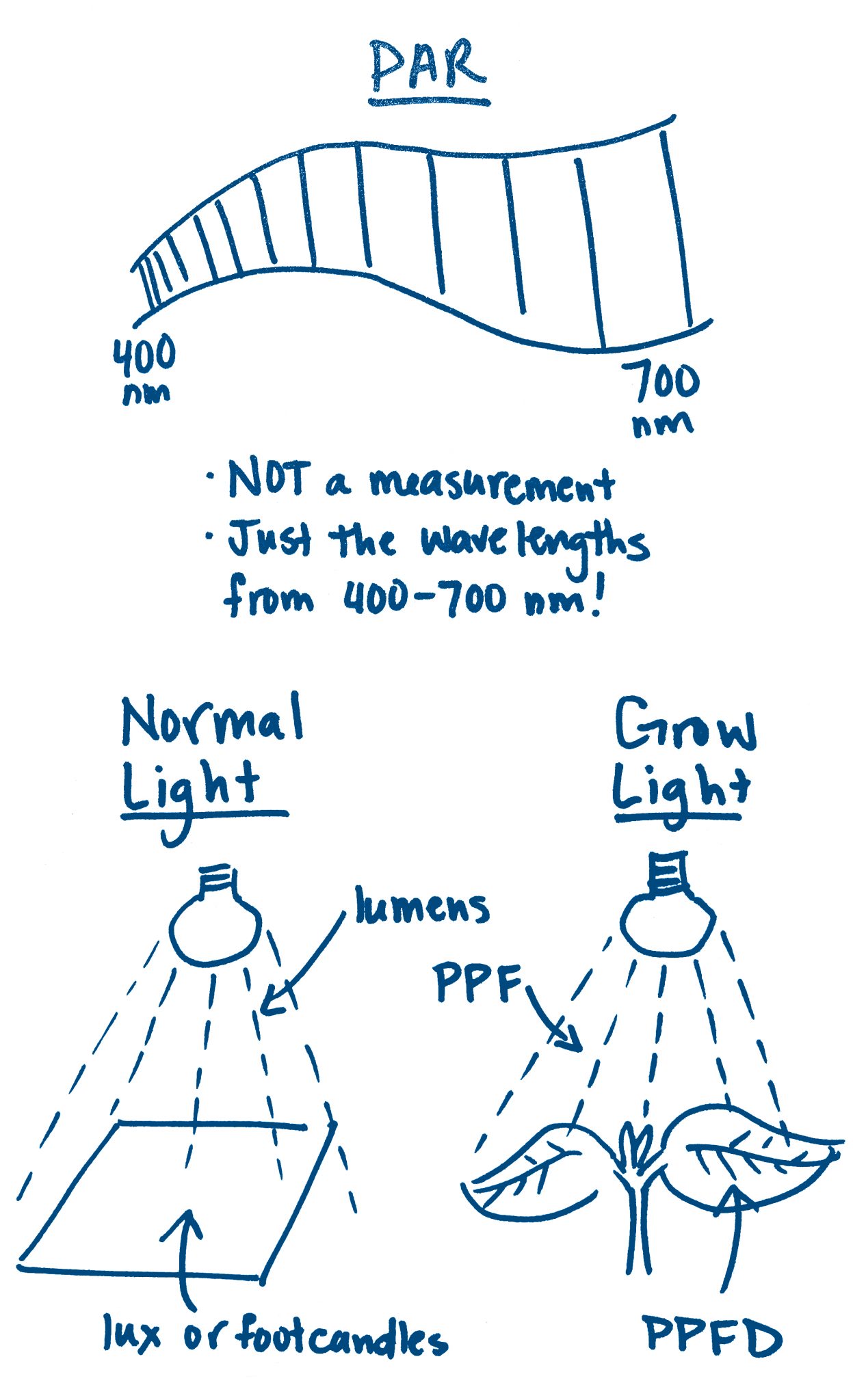 What Makes a Good Grow Light? Vanessa Nielsen