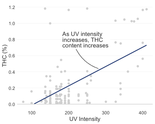 UV vs THC trichomes graph